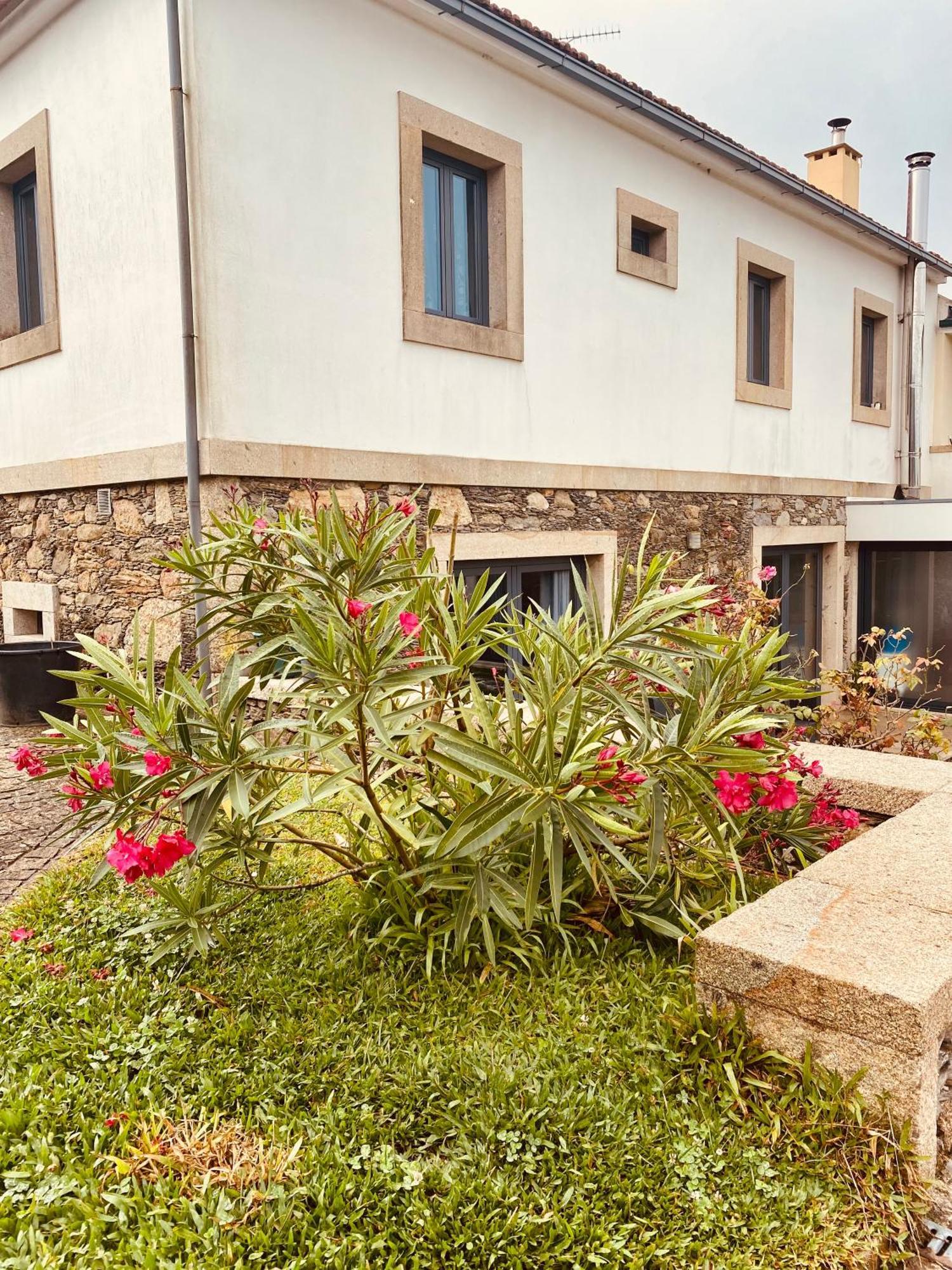 Serra De Arga Mountain House Montaria エクステリア 写真
