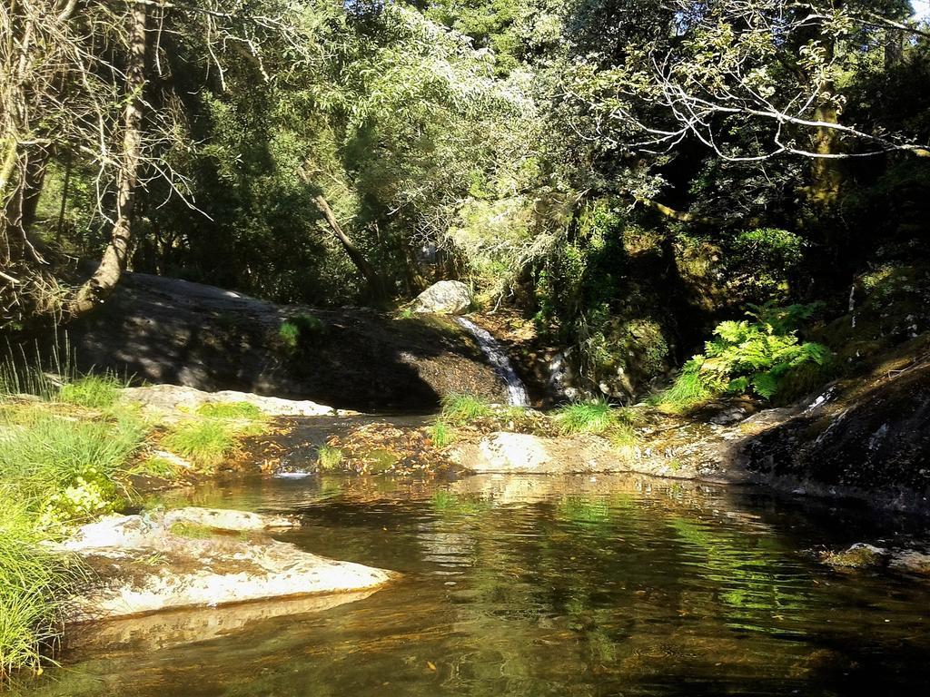 Serra De Arga Mountain House Montaria エクステリア 写真